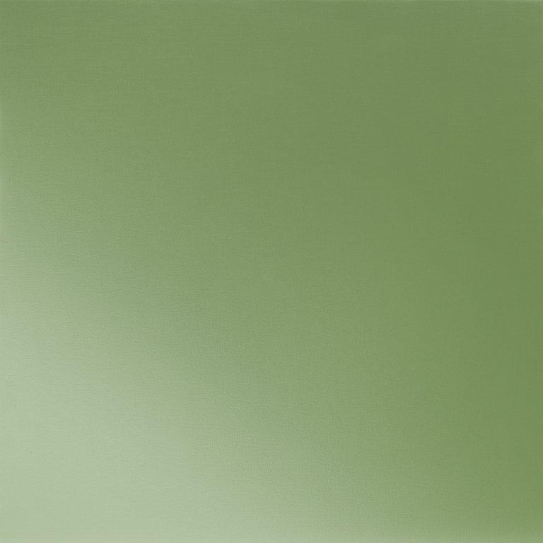 Trávově zelená  6011  -  Pozink lakovaný  -  Obrázek