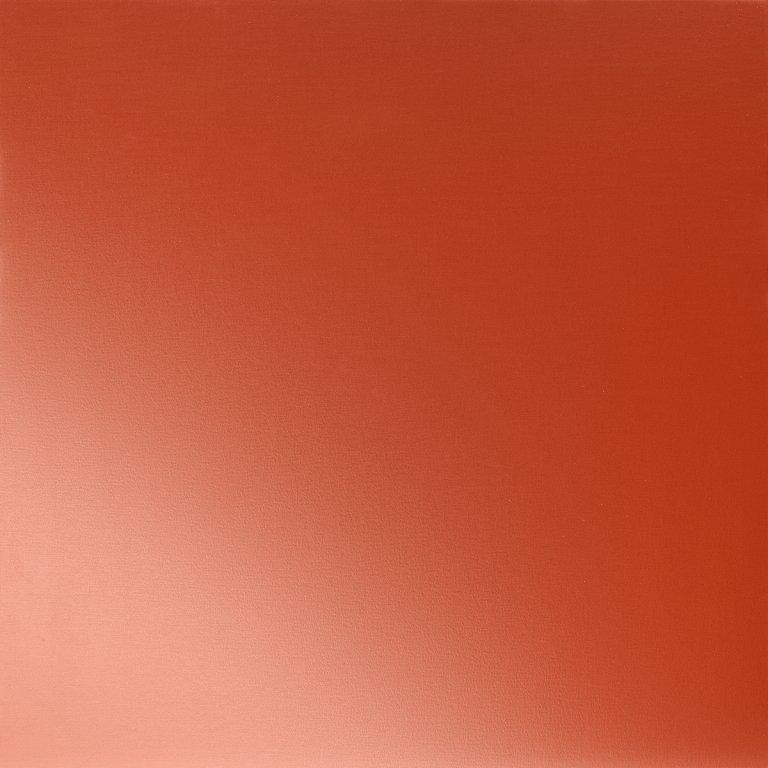 Rally červená  3020  -  Pozink lakovaný  -  Obrázek