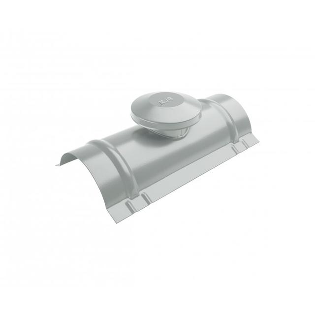 Obrázek - Hřebenáč větracínull