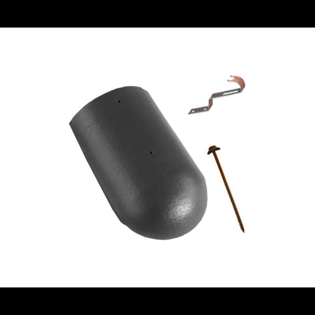 Obrázek - Hřebenáč začáteční a konečný DANUBIAnull