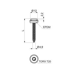 Nerezový šroub závitotvorný - Nerez lakovaná A2/A2 - Antracit - Obrázek 2