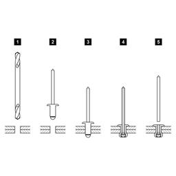 Nýt trhací - Pozink - Natur - Obrázek 3